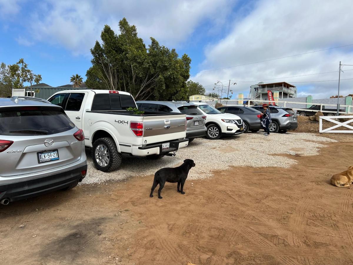 Ecovino Valle De Guadalupe Kültér fotó