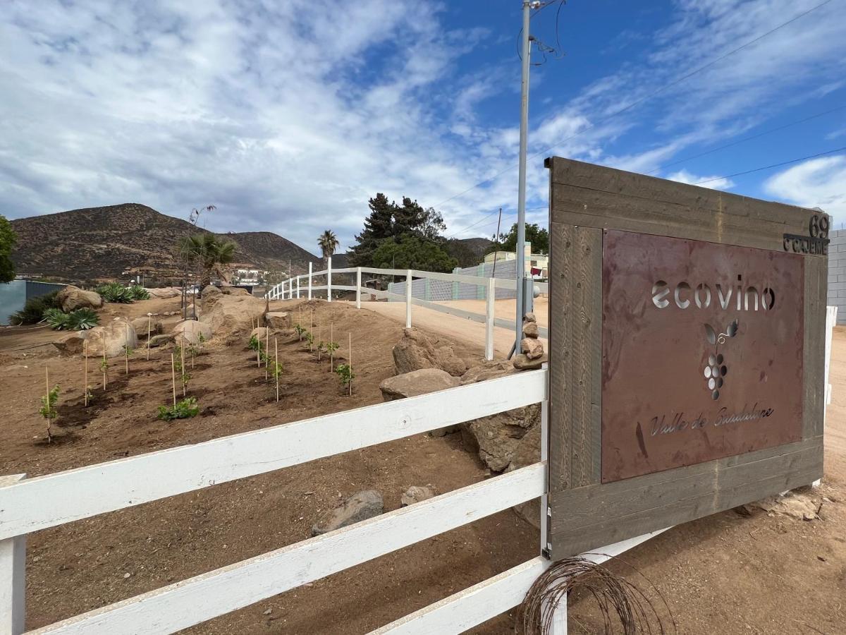 Ecovino Valle De Guadalupe Kültér fotó