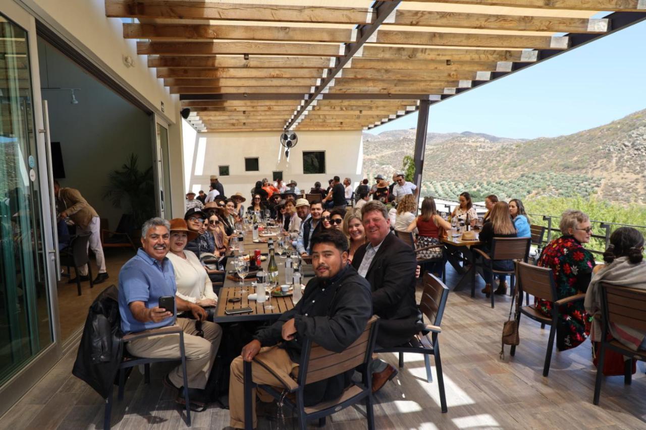 Ecovino Valle De Guadalupe Kültér fotó